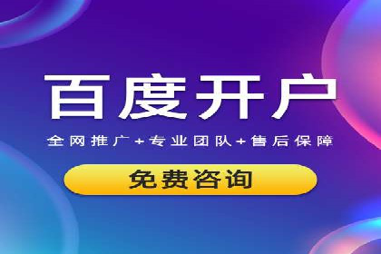 成功案例：sem竞价托管的智慧与策略